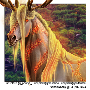 bk850.png