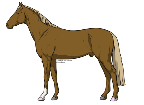 Stallion base7