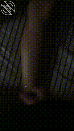GIF Image
