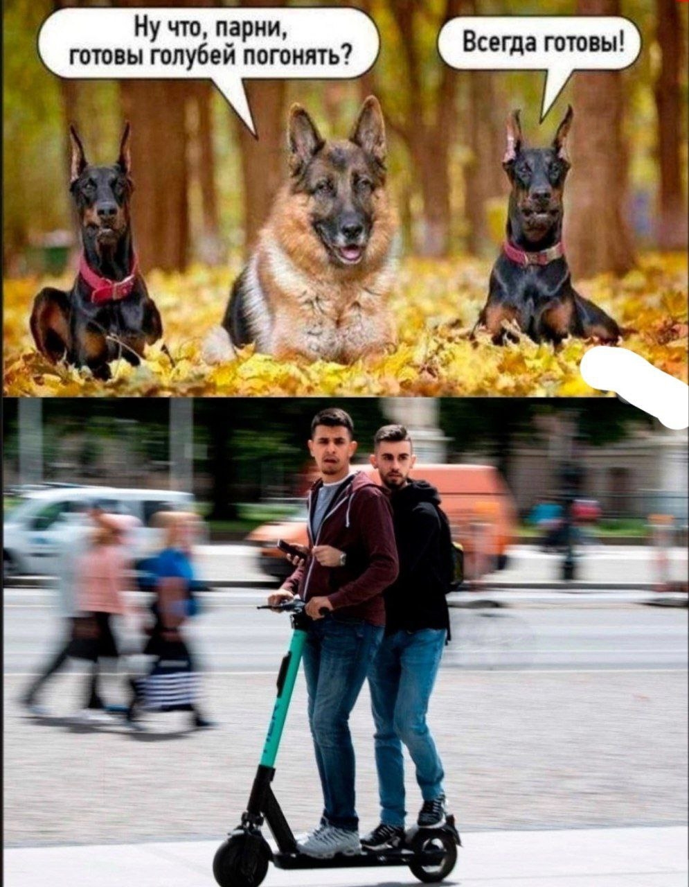 bkHnj.jpg