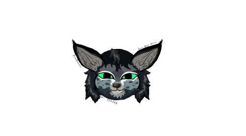 2026 01 27 0nx Kleki