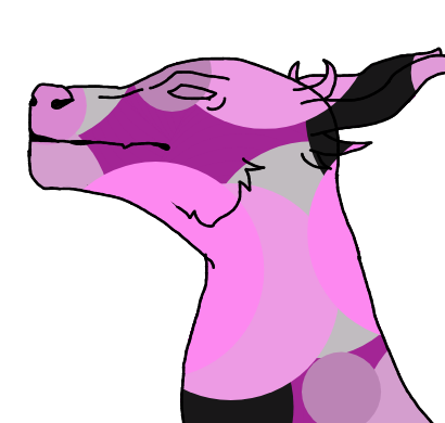 2026 01 19 0n8 Kleki