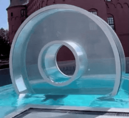 Awesome Friday 05 10 24 GIF 07 Seal Circle Prt 2 ezgif.com video to gif converter