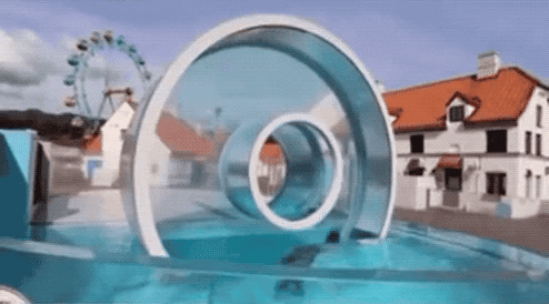 Awesome Friday 05 10 24 GIF 06 Seal Circle Prt 1 ezgif.com video to gif converter