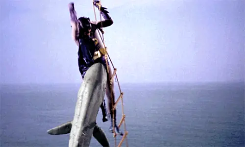 tumblr pvvcsoA7jQ1rrkahjo4 540