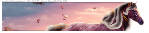 bkdsd.png