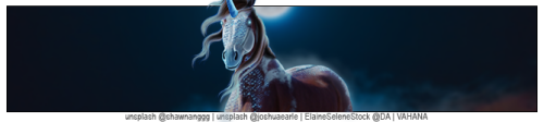 bkoAn.png