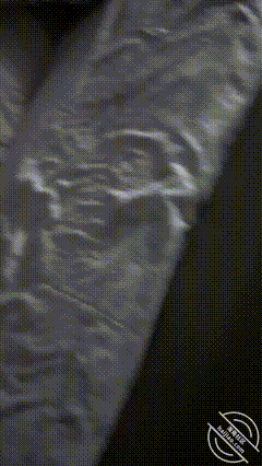 GIF Image
