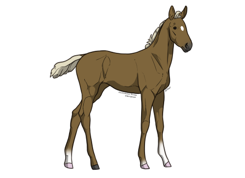 Foal base10