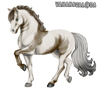 bvElI.png