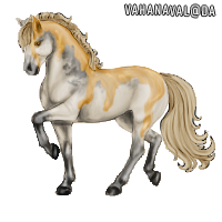 bvElQ.png