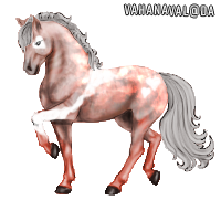 bvElg.png