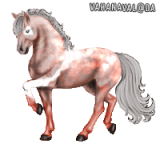 bvElg