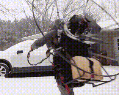 Winter Snow WINs Backpack Blower Car