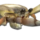 bvEtg