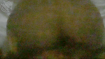 GIF Image