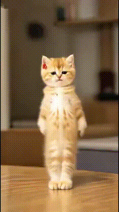 9dd5727b b35d 4461 9ddc d664530da4a7