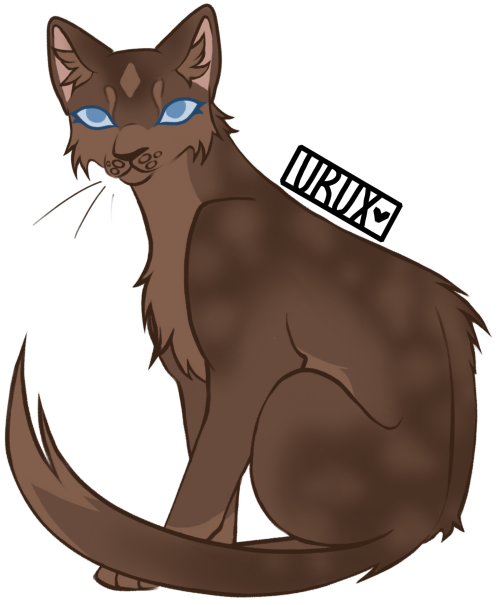 bvTvT.png