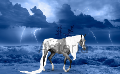 Untitled33 20260215001557