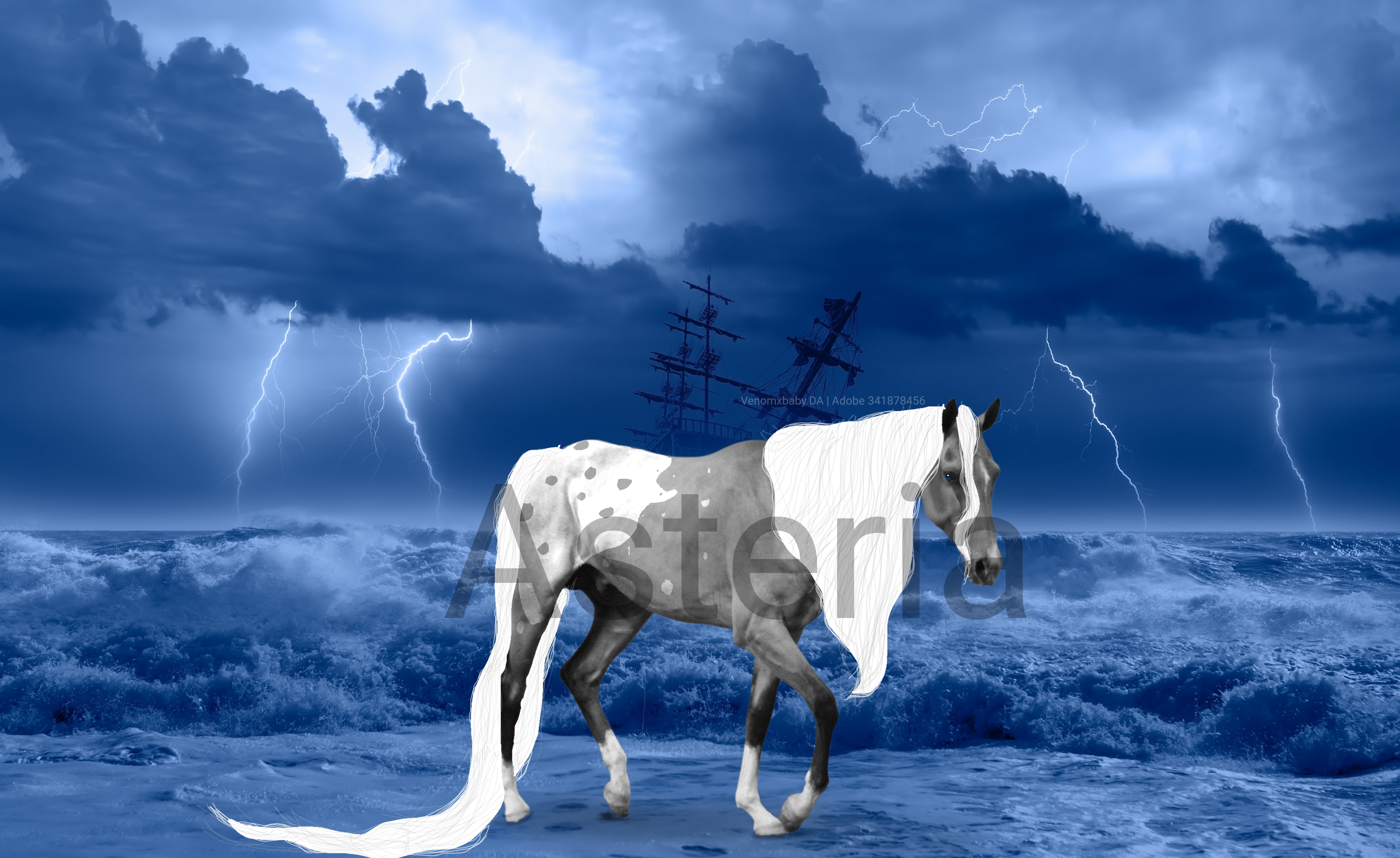 Untitled33 20260215001557
