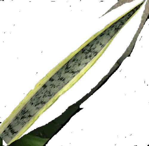 Tikiroomplant2