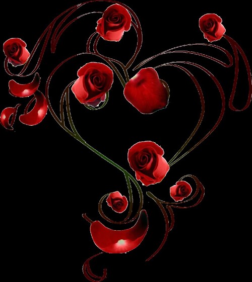 heartnroses