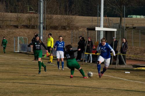 hellmonsoedt-nebelberg_c_2-3_20-03-2022-_33.jpg