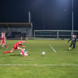 steyr-lask_c_0-4_18-03-2022_39