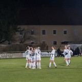 steyr-lask_c_0-4_18-03-2022_50