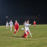 steyr-lask_c_0-4_18-03-2022_74