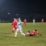 steyr-lask_c_0-4_18-03-2022_75